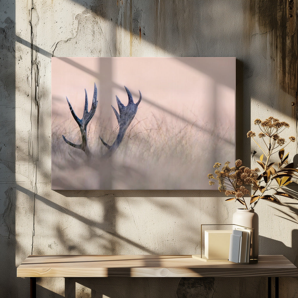 Wall art   Hide & Seek ( Horn of Stag)