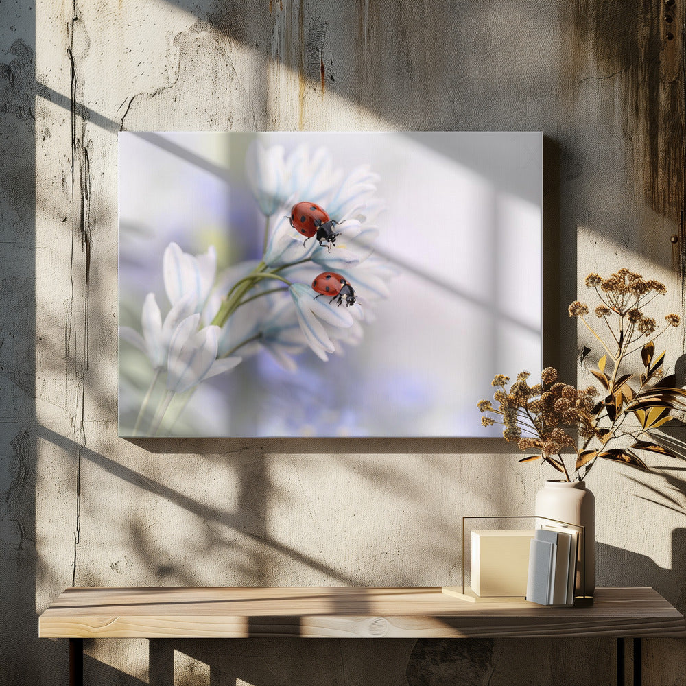 Wall art Ladybirds