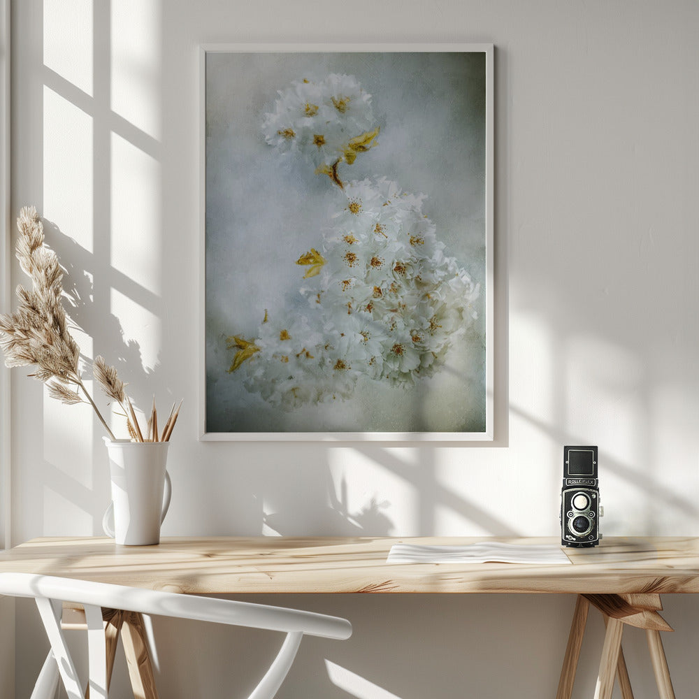 Wandbild Kirschblüten
