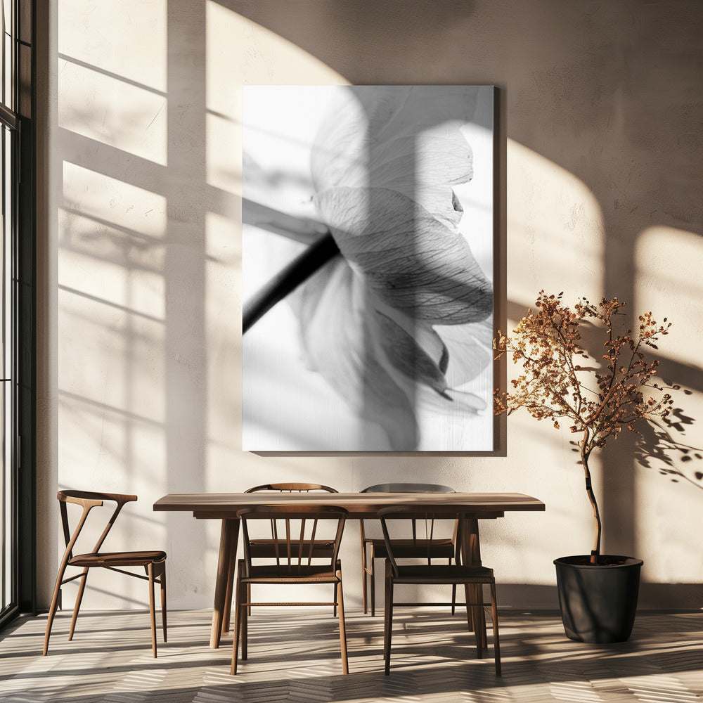 Wandbild Leinwandbild Blühende Blume