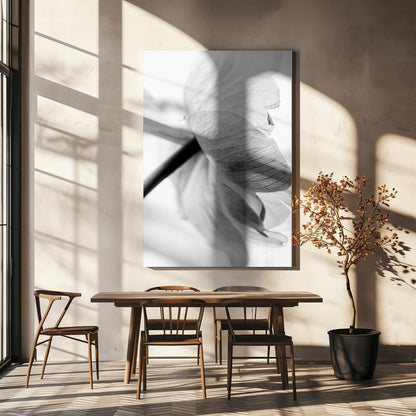 Wandbild Leinwandbild Blühende Blume