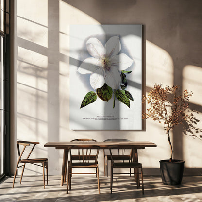 Wandkunst Lithographie Waldrebe