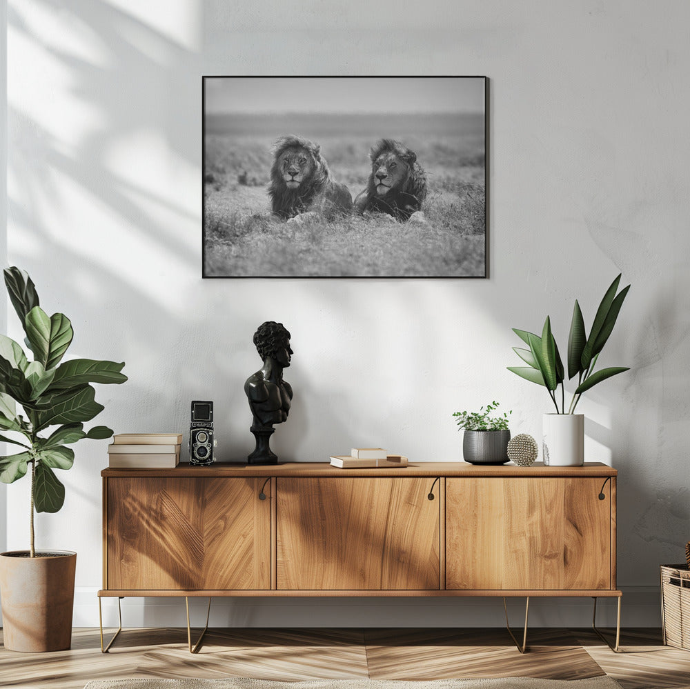 Wall art Two kings