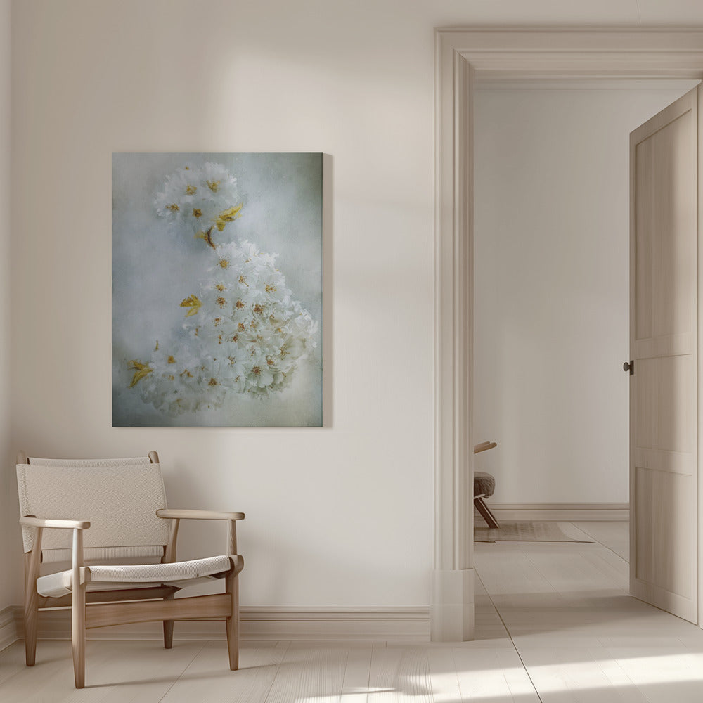 Wandbild Kirschblüten