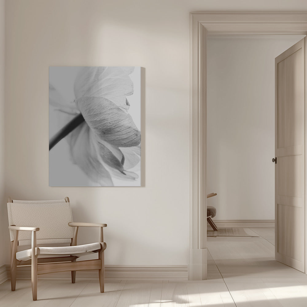 Wandbild Leinwandbild Blühende Blume