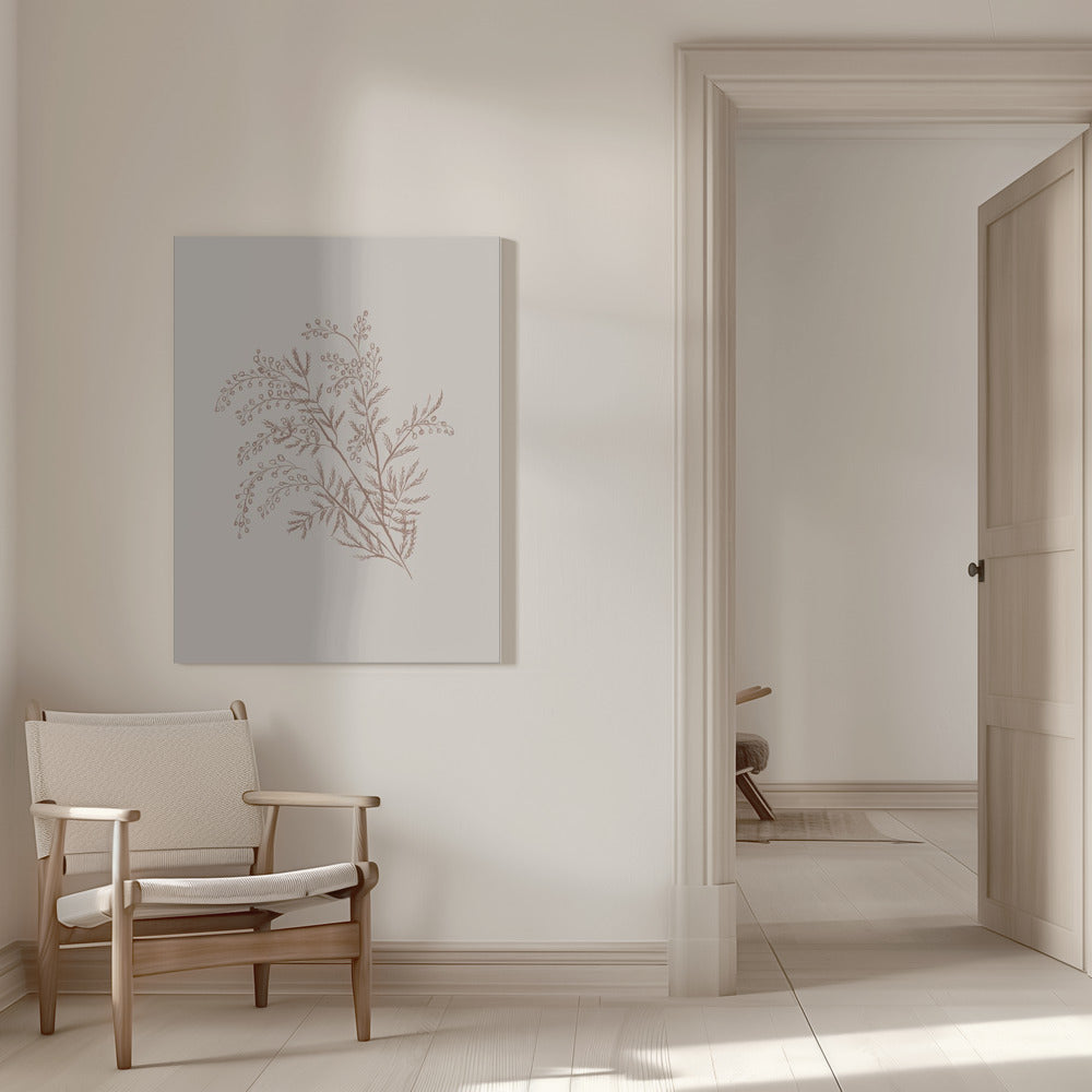 Wall art Acacia Botanical Branch