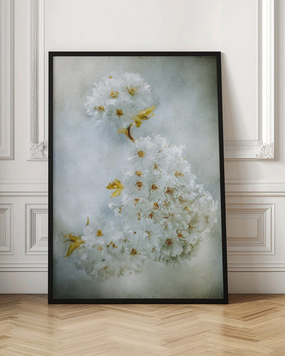Wandbild Kirschblüten