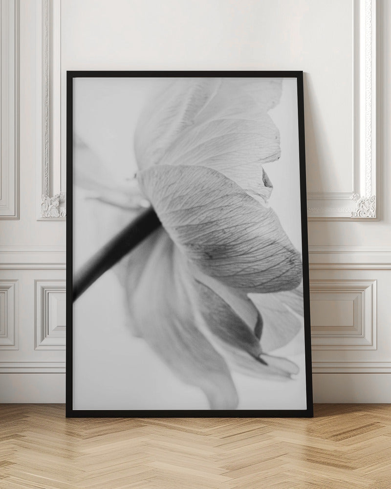 Wandbild Leinwandbild Blühende Blume