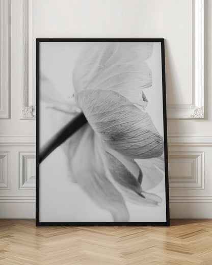 Wandbild Leinwandbild Blühende Blume
