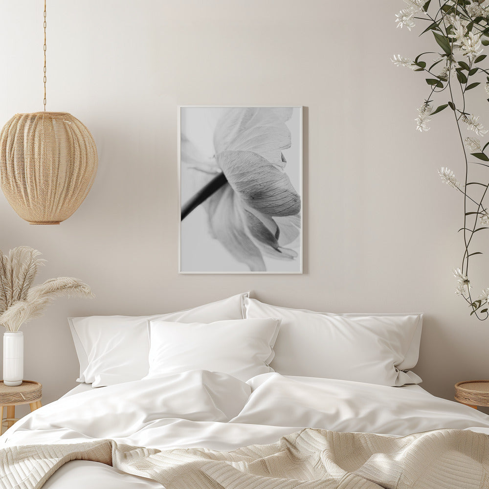 Wandbild Leinwandbild Blühende Blume