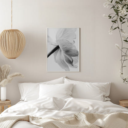 Wandbild Leinwandbild Blühende Blume