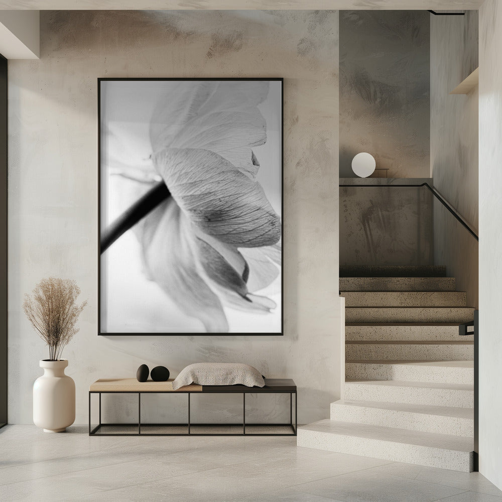 Wandbild Leinwandbild Blühende Blume