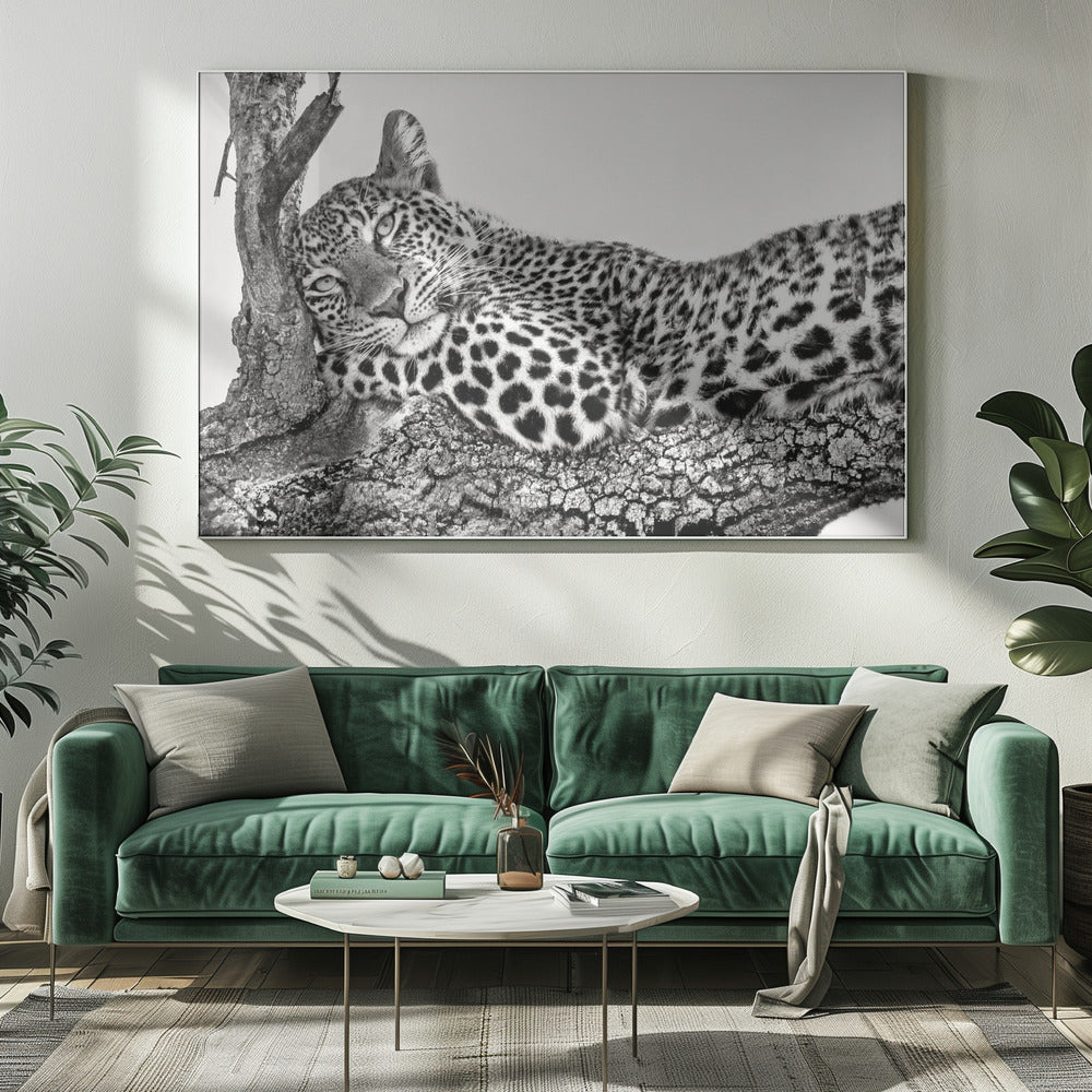 Time to rest Leopard