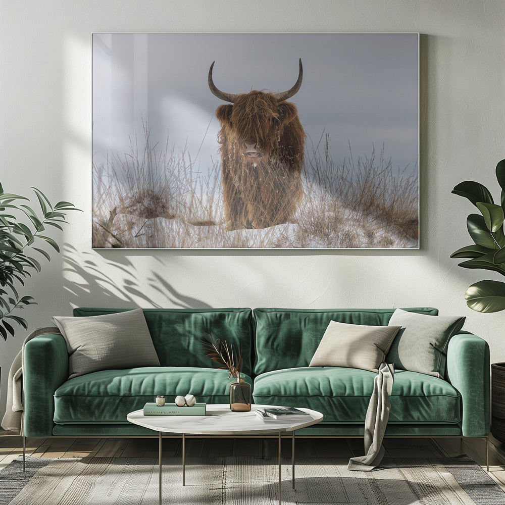Wall Art Highlander in Snow