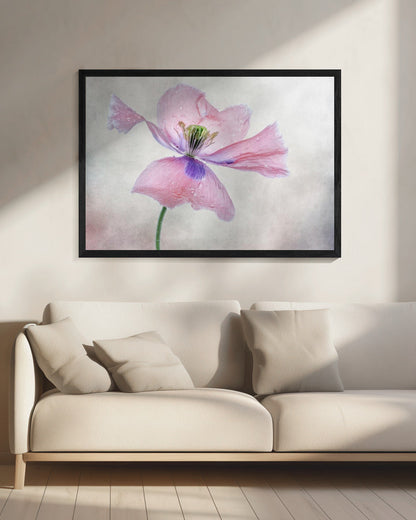 Pastel poppy