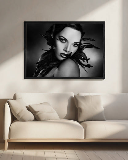 Wall art The black feathers