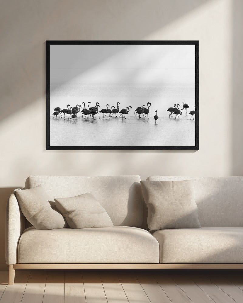 Wandbild Flamingos