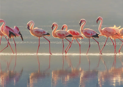 Wandbild Flamingo-Landschaft
