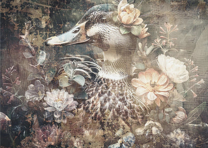 Wall art Duck Animal Vintage Art Illustration Wallart 06