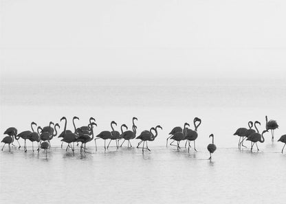 Wandbild Flamingos