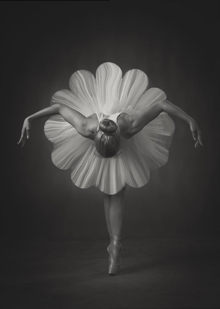 Wandbilder Blumenballett