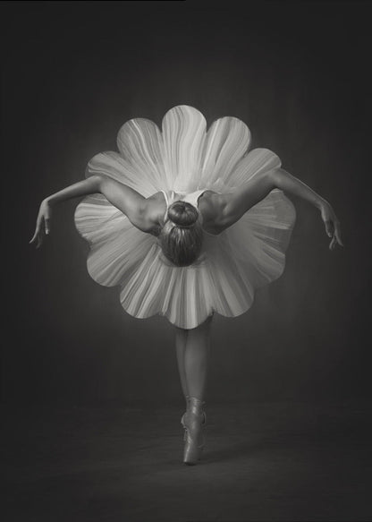 Wandbilder Blumenballett