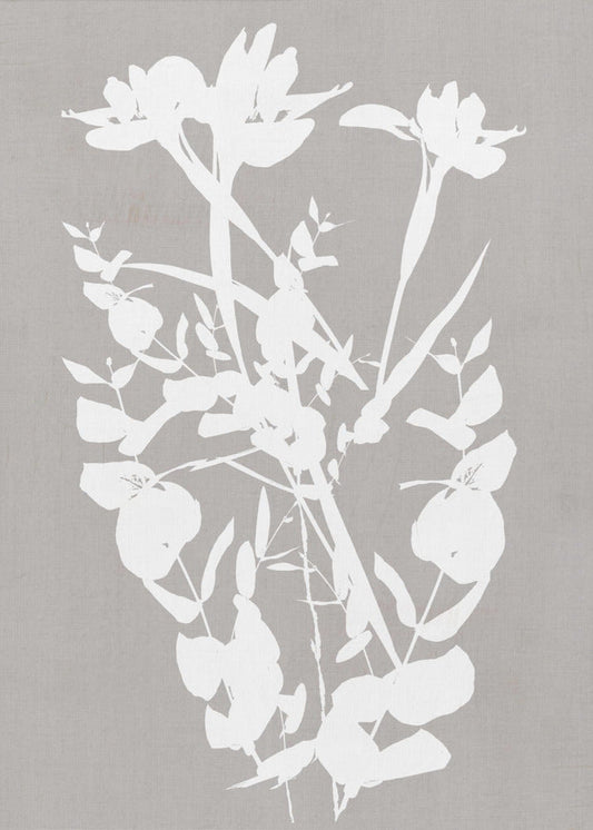 Wall art Botanical Illustration 1