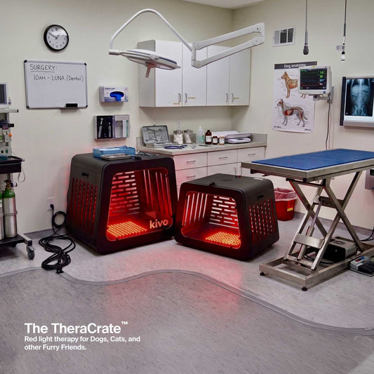 Kivo TheraCrate for Pets - Red Light Therapy Dogs, Cats, Rabbits, and other small pets